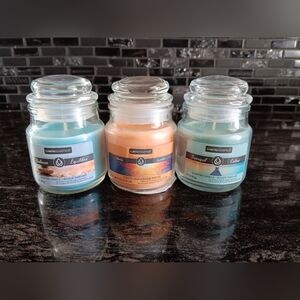 LuminEssence Aromatherapy Scented Candle Trio